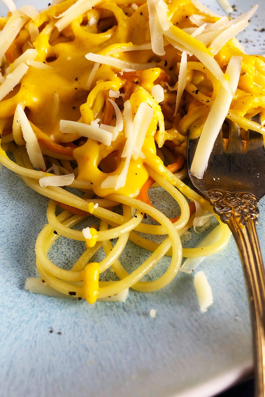 Top-down, close-up view of Squash and Cheddar Cheese Pasta Sauce
