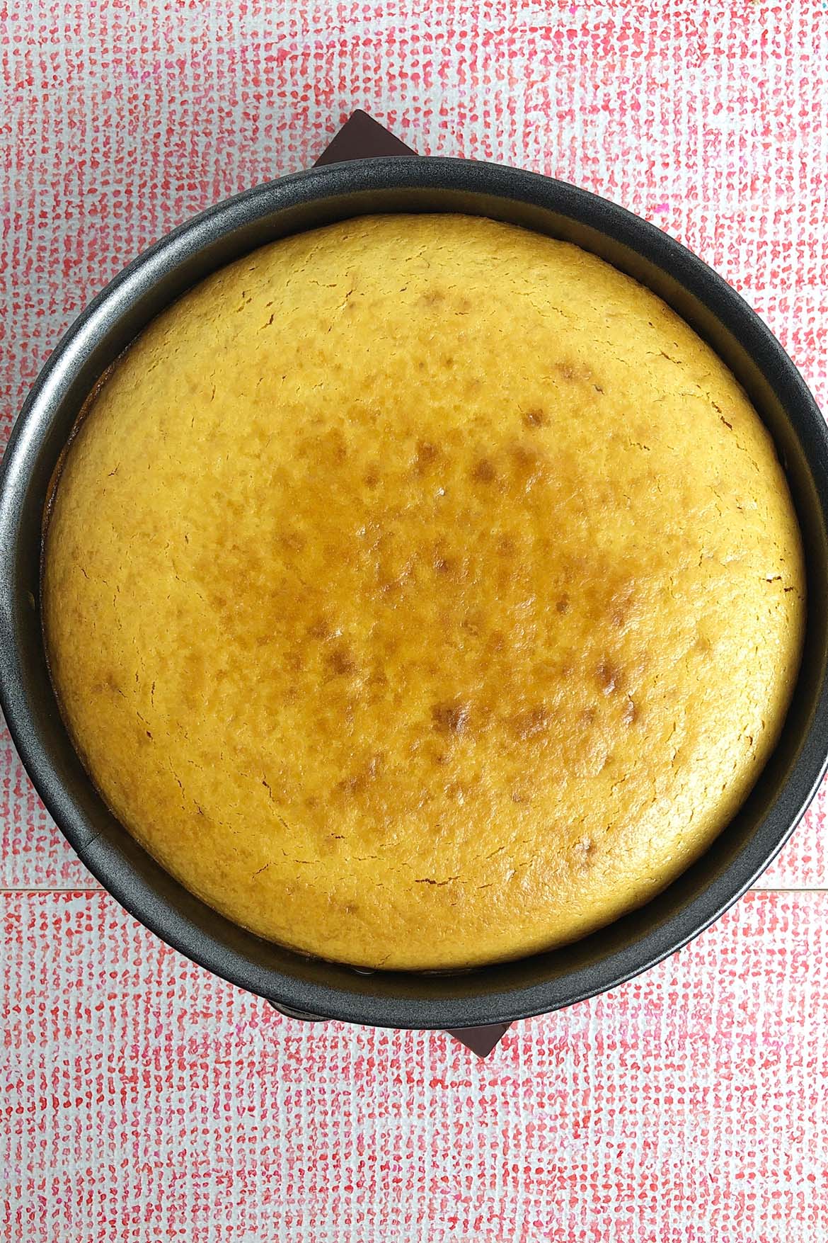 Top-down view of baked Blood Orange and Carrot Cheesecake in a springform pan