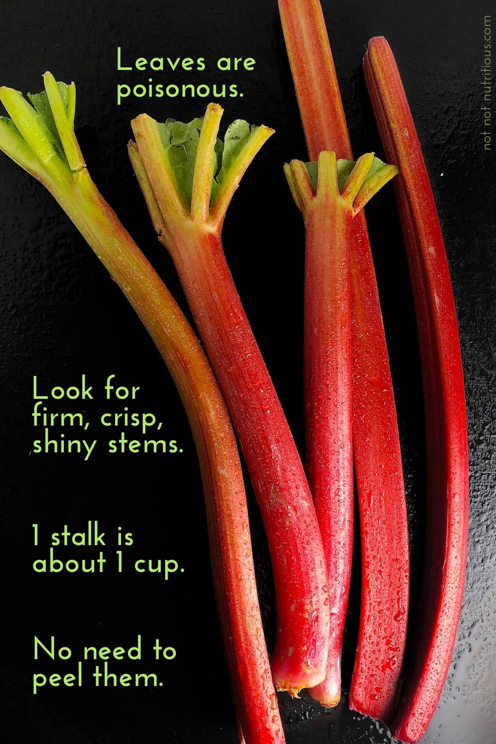 Infographic with facts about rhubarb. Leaves are poisonous. Look for firm, crisp, shiny stems, 1 stalk of rhubarb is about 1 cup. You don't need to peel rhubarb.