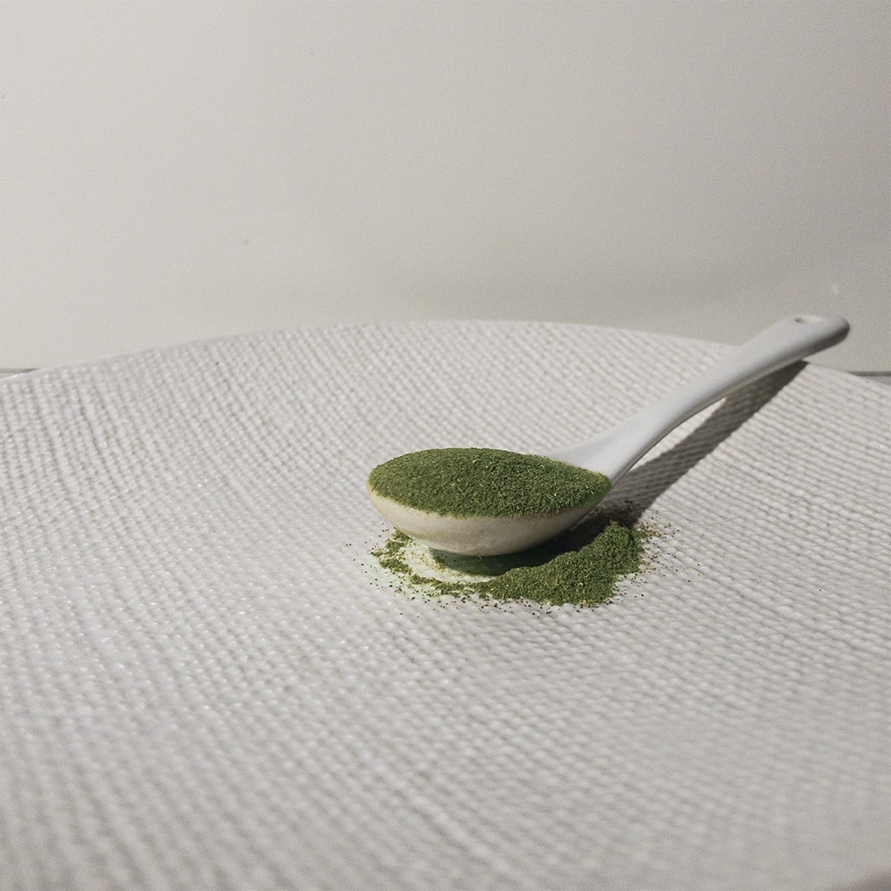 stevia on a white spoon, on a white plate