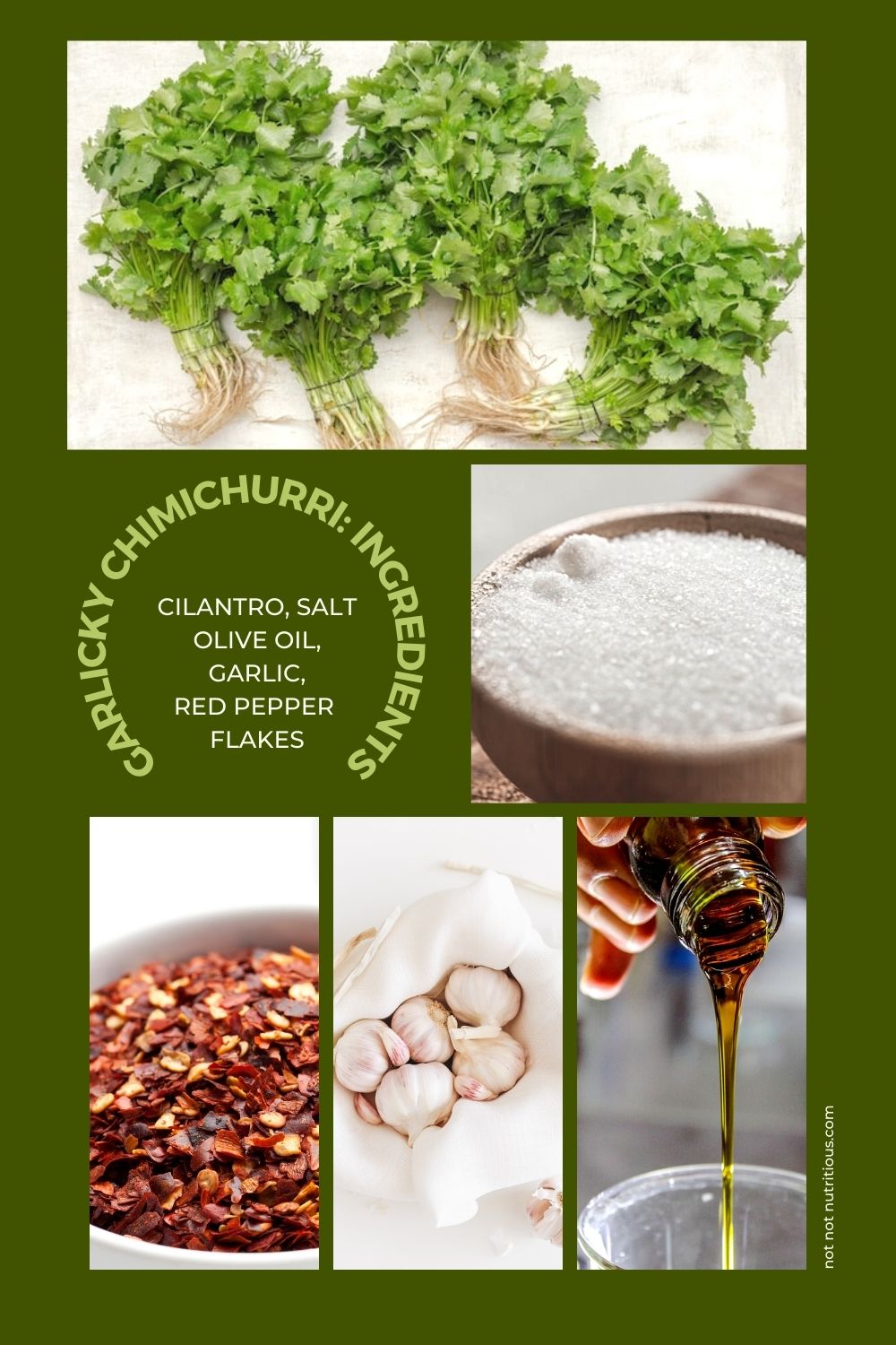 Collage of ingredients for garlicky chimchurri: cilantro, salt, olive oil, garlic, red pepper flakes