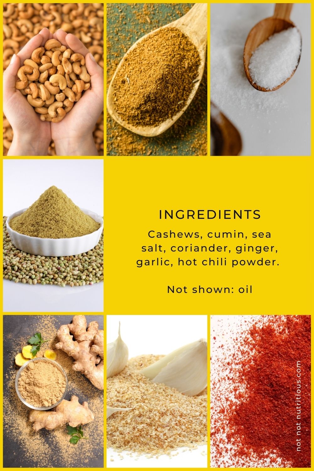 Ingredients for Spicy Cashew Butter, including cashews, cumin, coriander, ginger, garlic, hot chili powder and sea salt