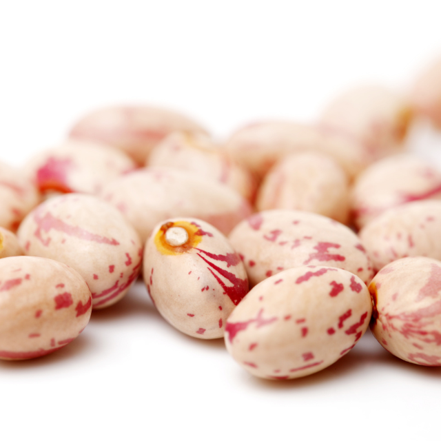 uncooked pinto beans