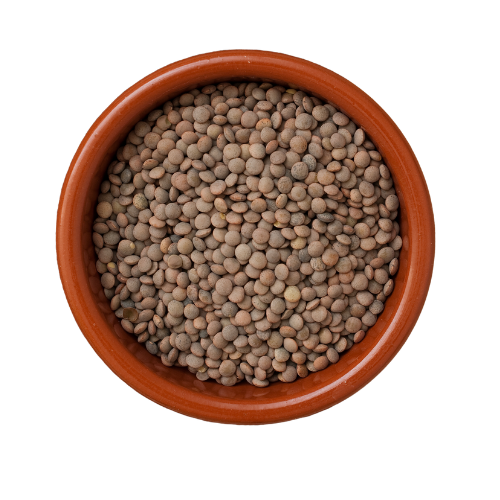 Top down view of brown lentils in a wooden bowl