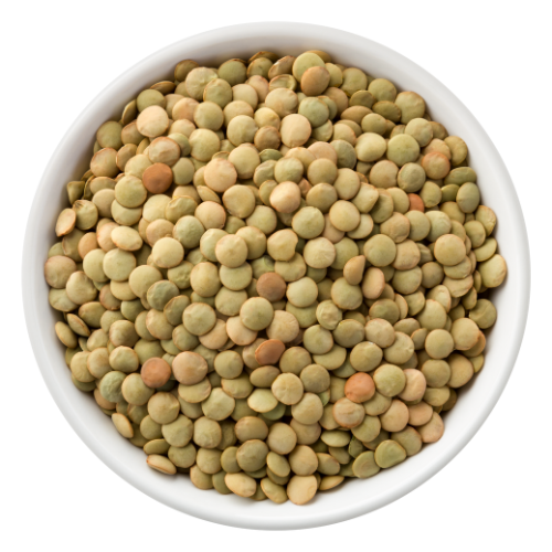Top down view of green lentils in a white bowl