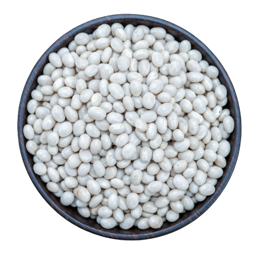 Top down view of uncooked navy beans in a bowl