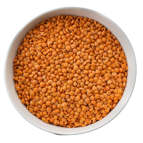 Top-down view of uncooked red lentils in a white bowl
