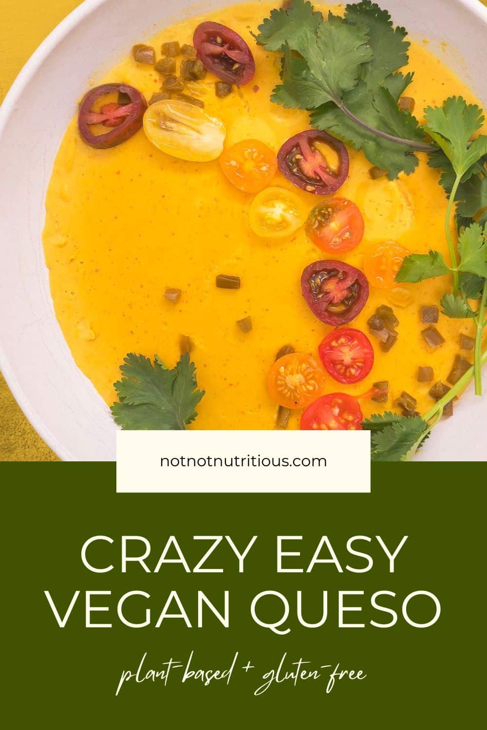 Top-down view of vegan queso. Pin for Crazy Easy Vegan Queso, plant-based and gluten-free. 