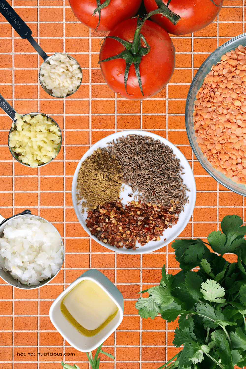 Ingredients for 1-Pot Indian Red Lentils (Dal), including tomatoe, red lentils, dried spices, cilantro, onion, garlic and ginger